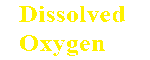 Dissolved Oxygen